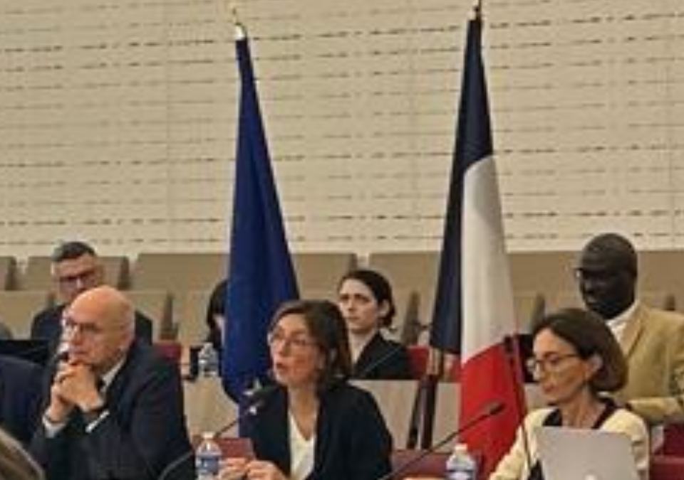 Les cinq responsabilités des décideurs publics et la réforme de l’État : les chemins du possible